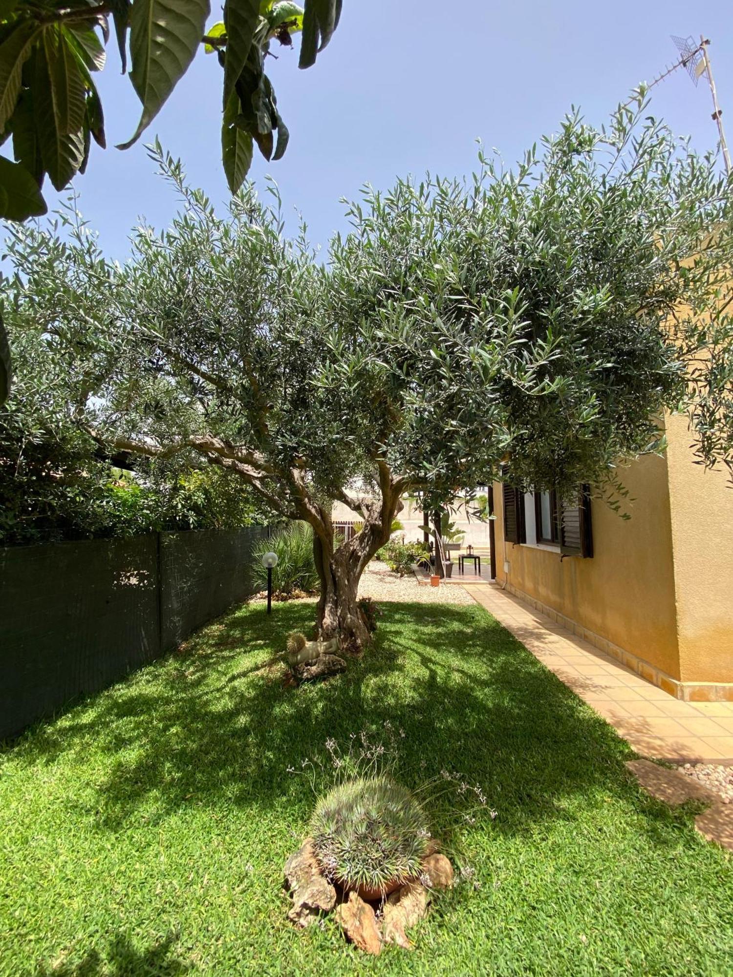 Villa Barbera Marsala Ngoại thất bức ảnh